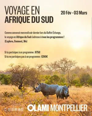 Voyage en Afrique du Sud - Programme Olami Explore