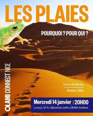 Les plaies